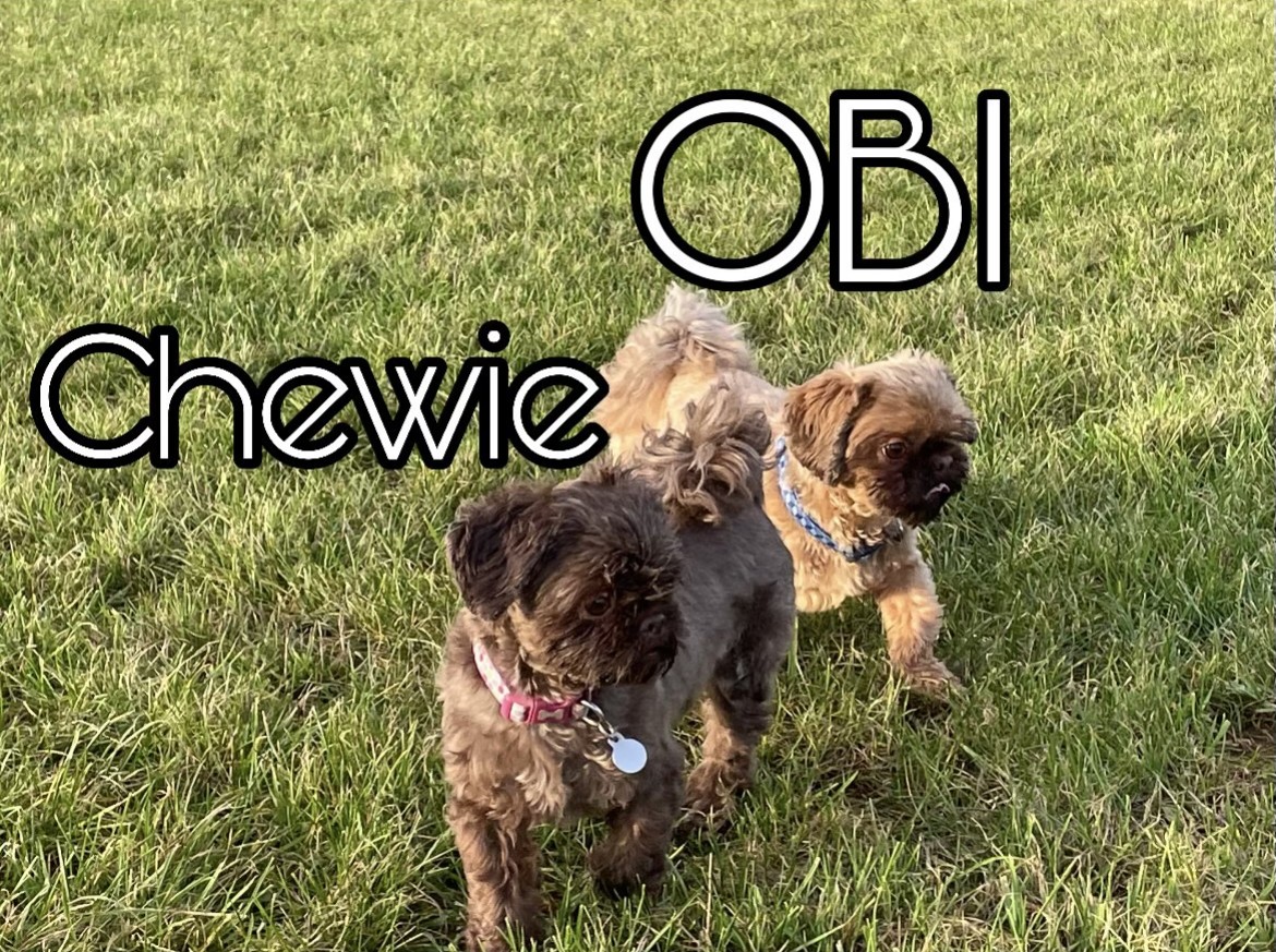 CHEWIE AND OBI